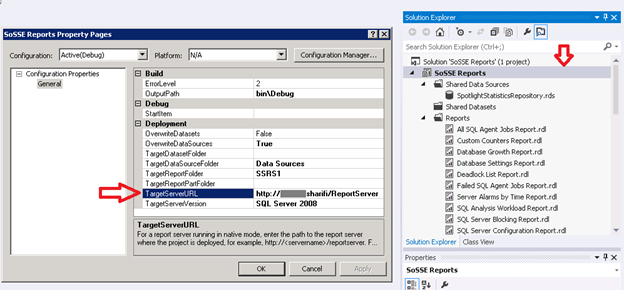 Custom report manager