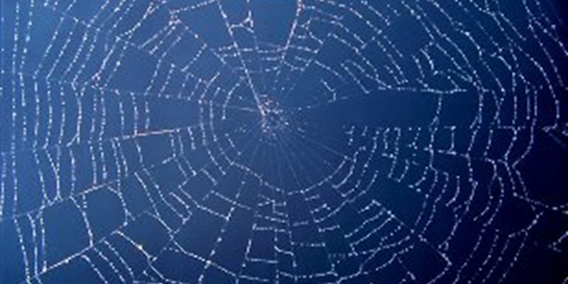 Foglight Dashboard for Web Transactions