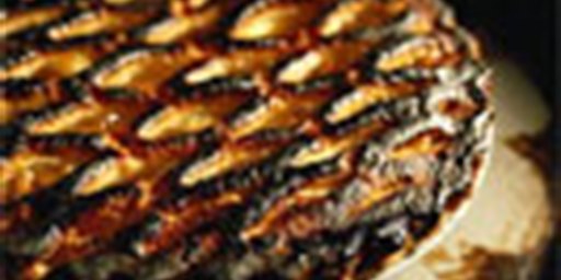 Keep Your Pi from Burning with Foglight