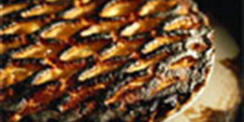 Keep Your Pi from Burning with Foglight
