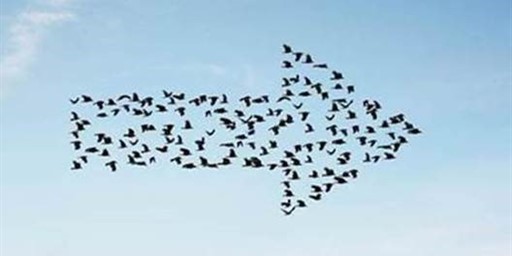 Manage that time-consuming Microsoft platform migration and still get home on time? Let’s talk about Quest Premier Support!