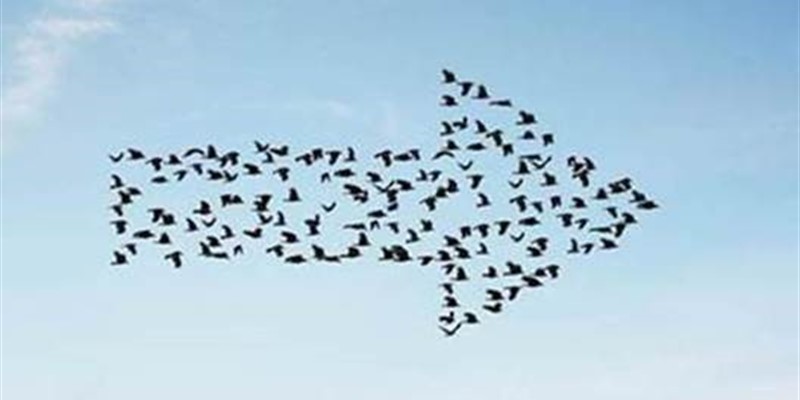 Manage that time-consuming Microsoft platform migration and still get home on time? Let’s talk about Quest Premier Support!