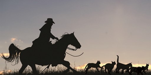 Unified Endpoint Management (UEM) — Take the Cat Herding Out Of It