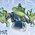 Toad Data Point: How to discover where my data is stored