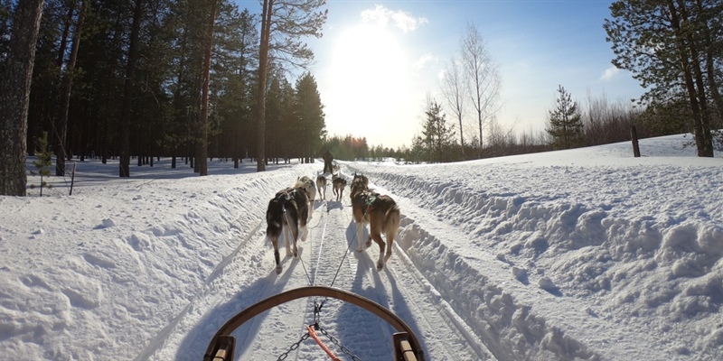 Medical record scanning, dog sleds and a double-hop — An average day for Maniilaq
