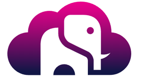 EnterpriseDB Postgres - Big Animal