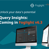 Uncover the Culprits: Identify Time-Consuming Queries with Foglight