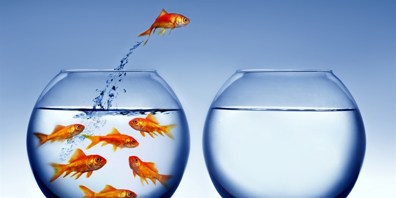 How to Migrate From SharePoint 2010 to SharePoint 2016