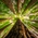 Green IT: Reducing the global carbon footprint