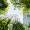 Cityscape with tall buildings and green trees view of blue sky through tops of trees