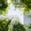 Go green by taking control of your hybrid cloud environment