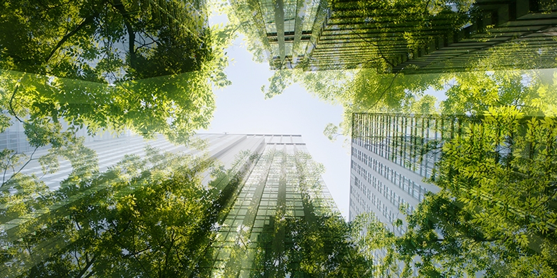 Cityscape with tall buildings and green trees view of blue sky through tops of trees