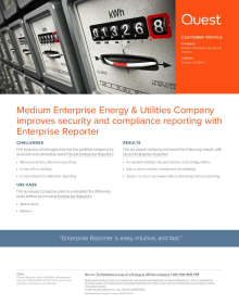 Medium Enterprise Energy & Utilities Company improves security and compliance reporting with Enterprise Reporter