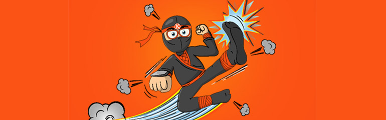 Nick the IT Ninja
