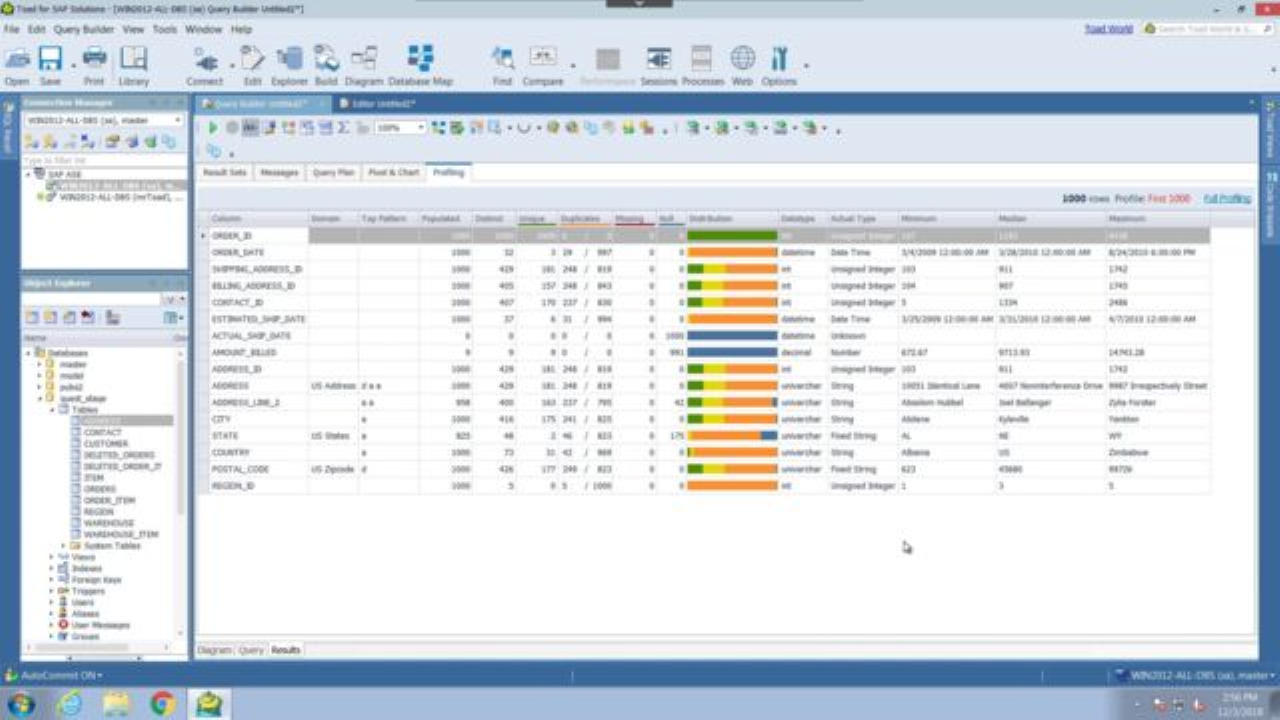 Sap Software