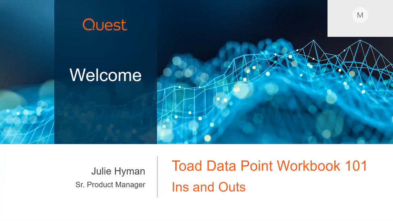 Toad Data Point Workbook 101 The Ins and Outs