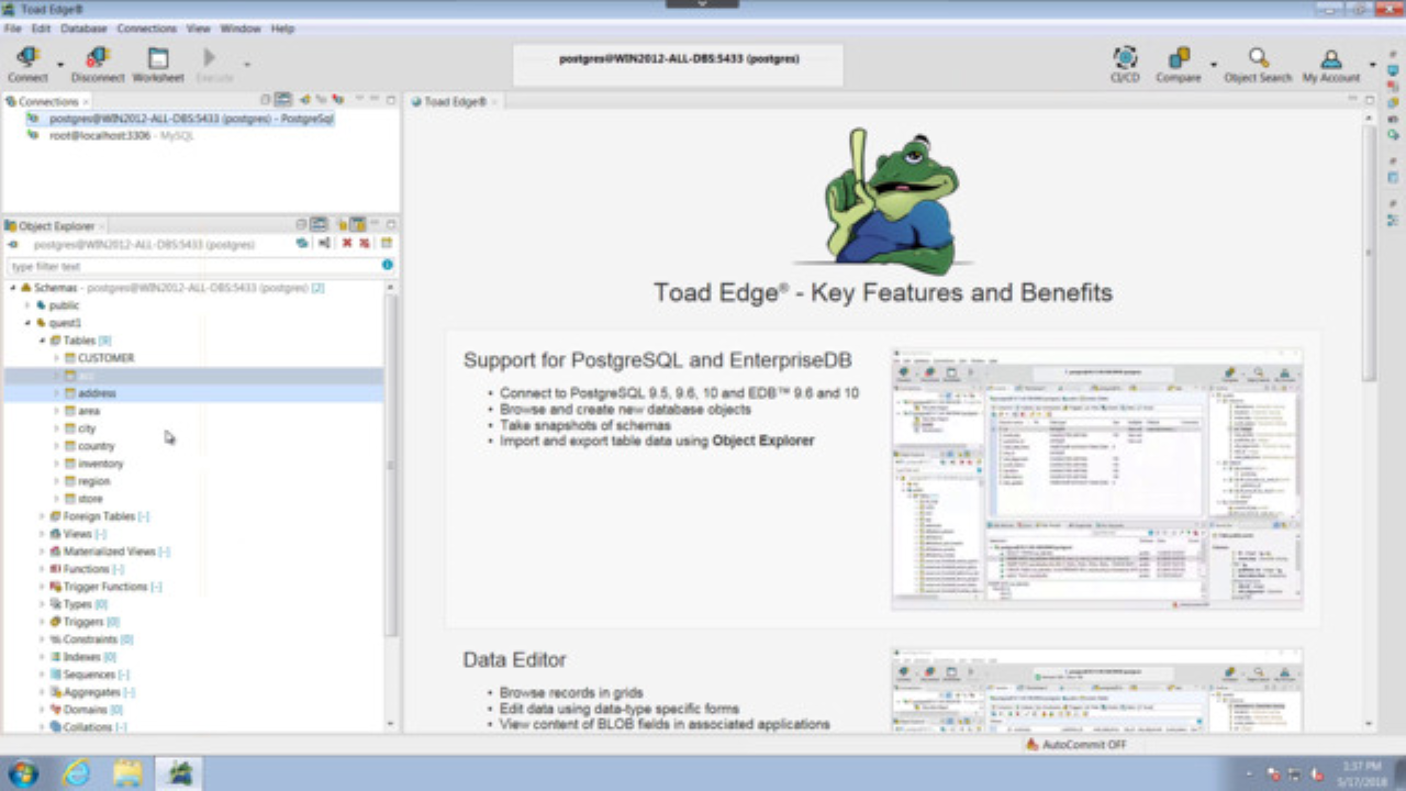 Toad Edge User Interface Overview