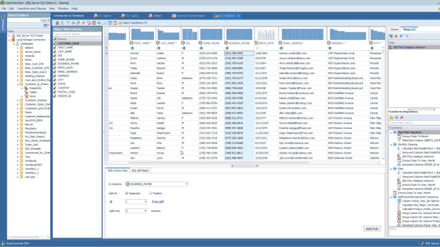 Using Transformation and Cleanse within Toad Data Point Workbook