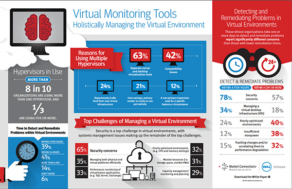 Infographic: Holistically Managing the Virtual Environment